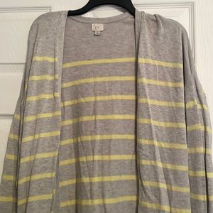 Long cardigan sweater